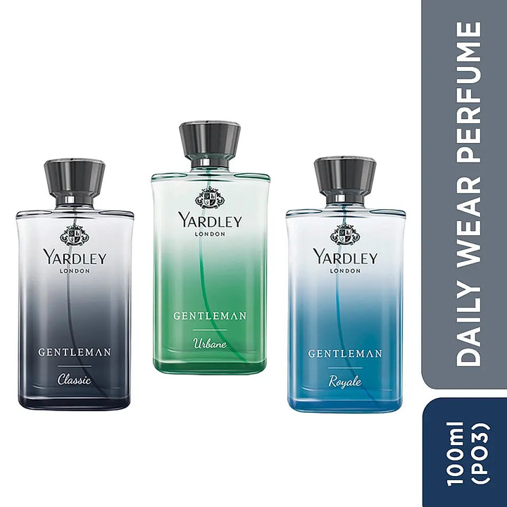 Gentleman Perfume combo -100ml x 3 Pack of 3