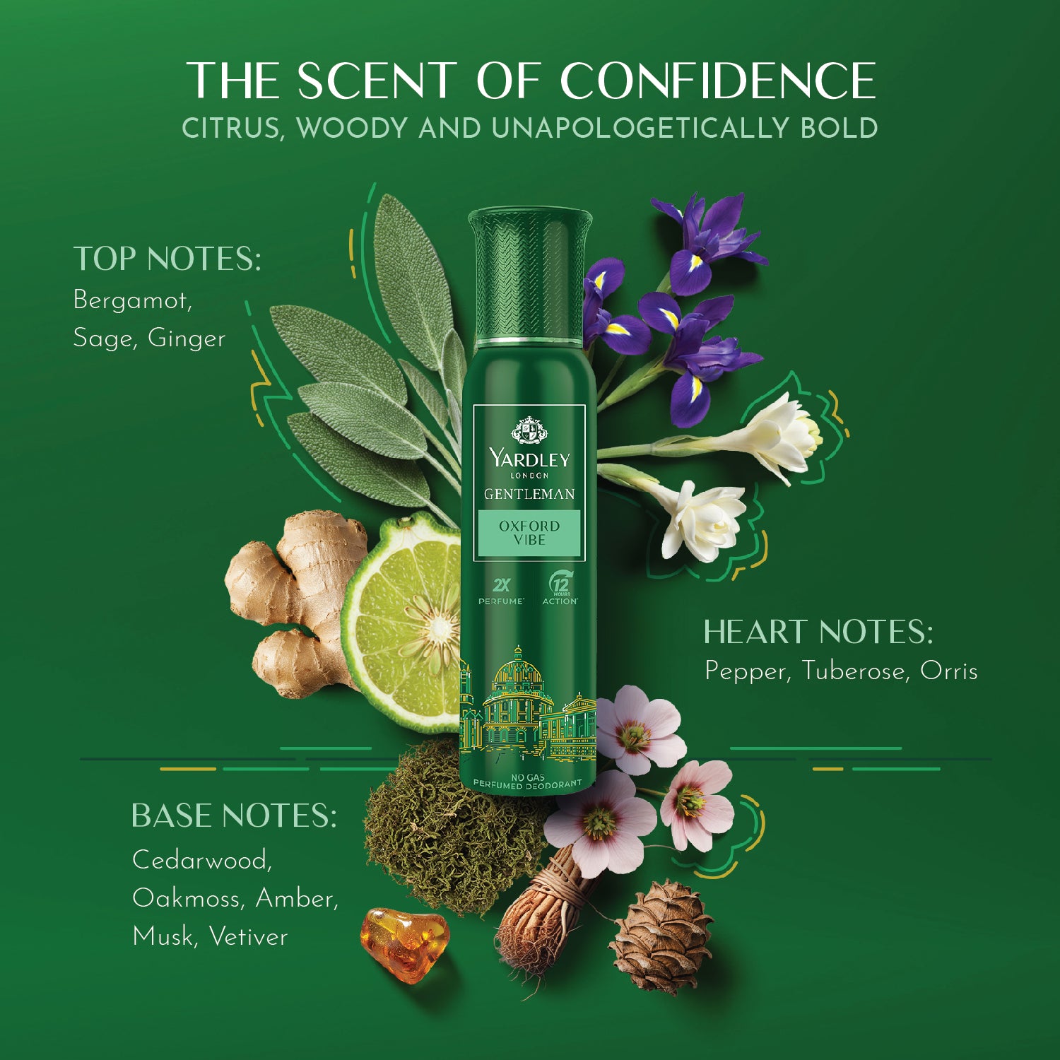 Yardley Gentleman Oxford Vibe No Gas Perfumed Deodrant | No Gas Deo For Men | 2X Perfume | 12 Hours Action | 120ml