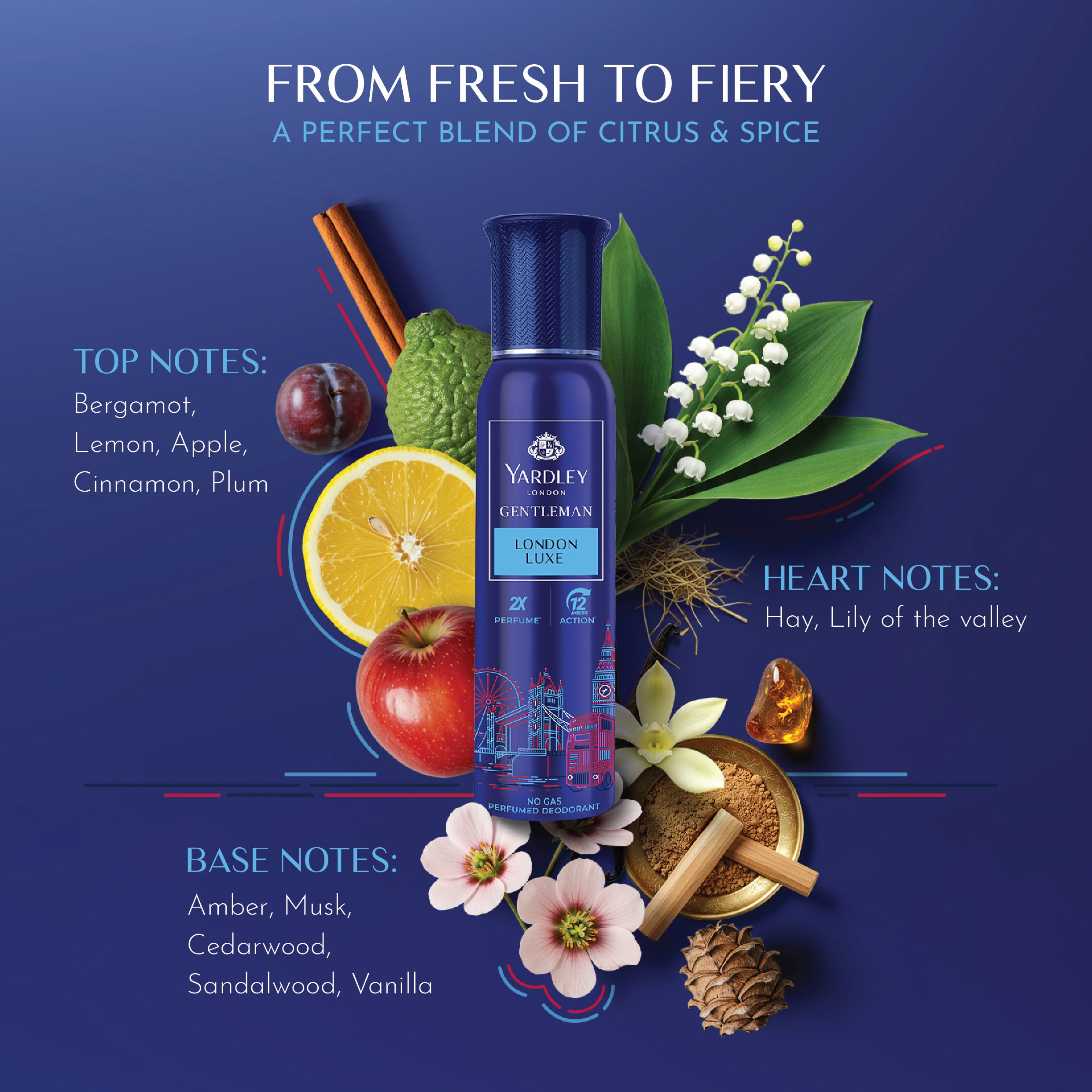 Yardley Gentleman London Luxe  No Gas Perfumed Deodrant | No Gas Deo For Men | 2X Perfume | 12 Hours Action | 120ml