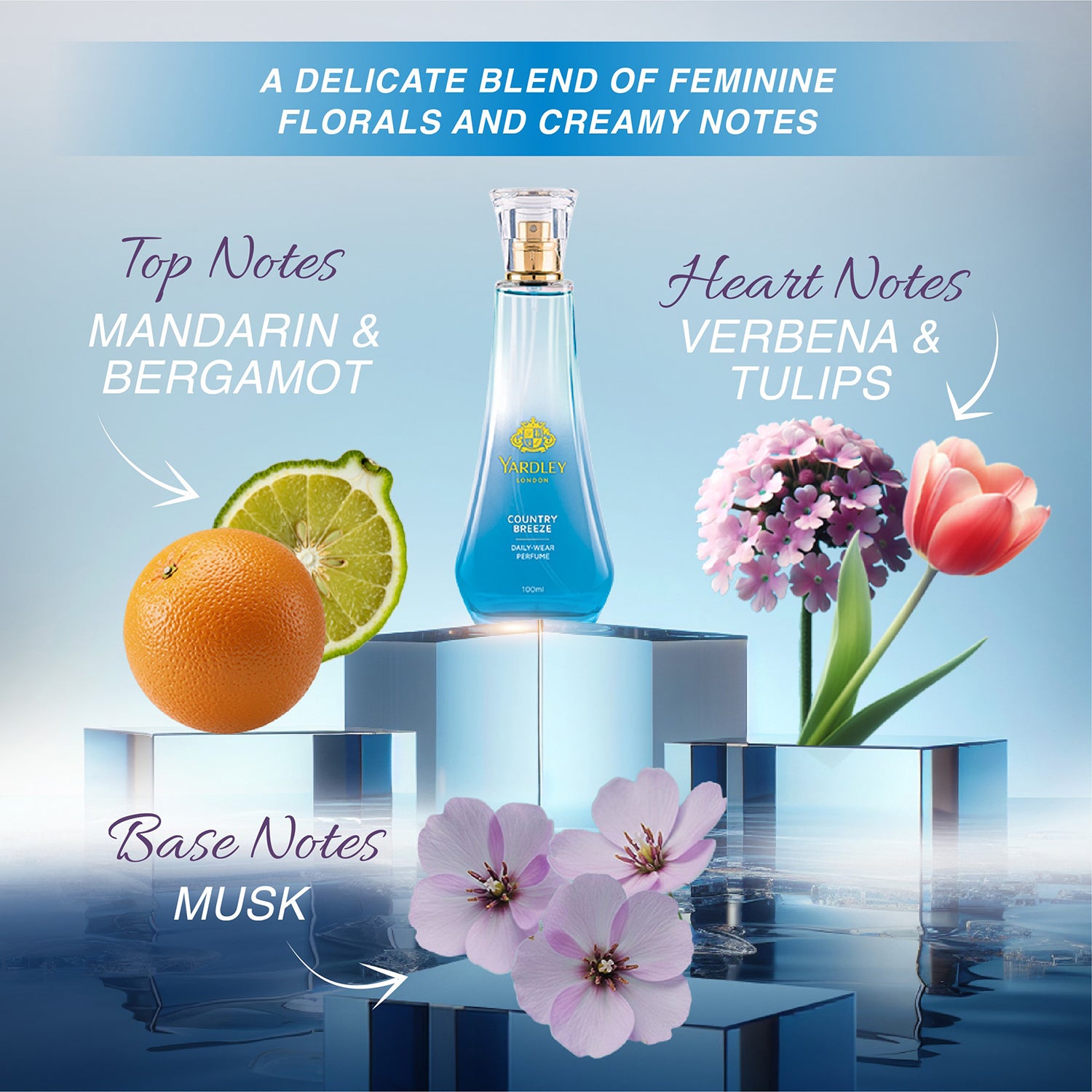 Country Breeze Daily Wear Perfume 100ml