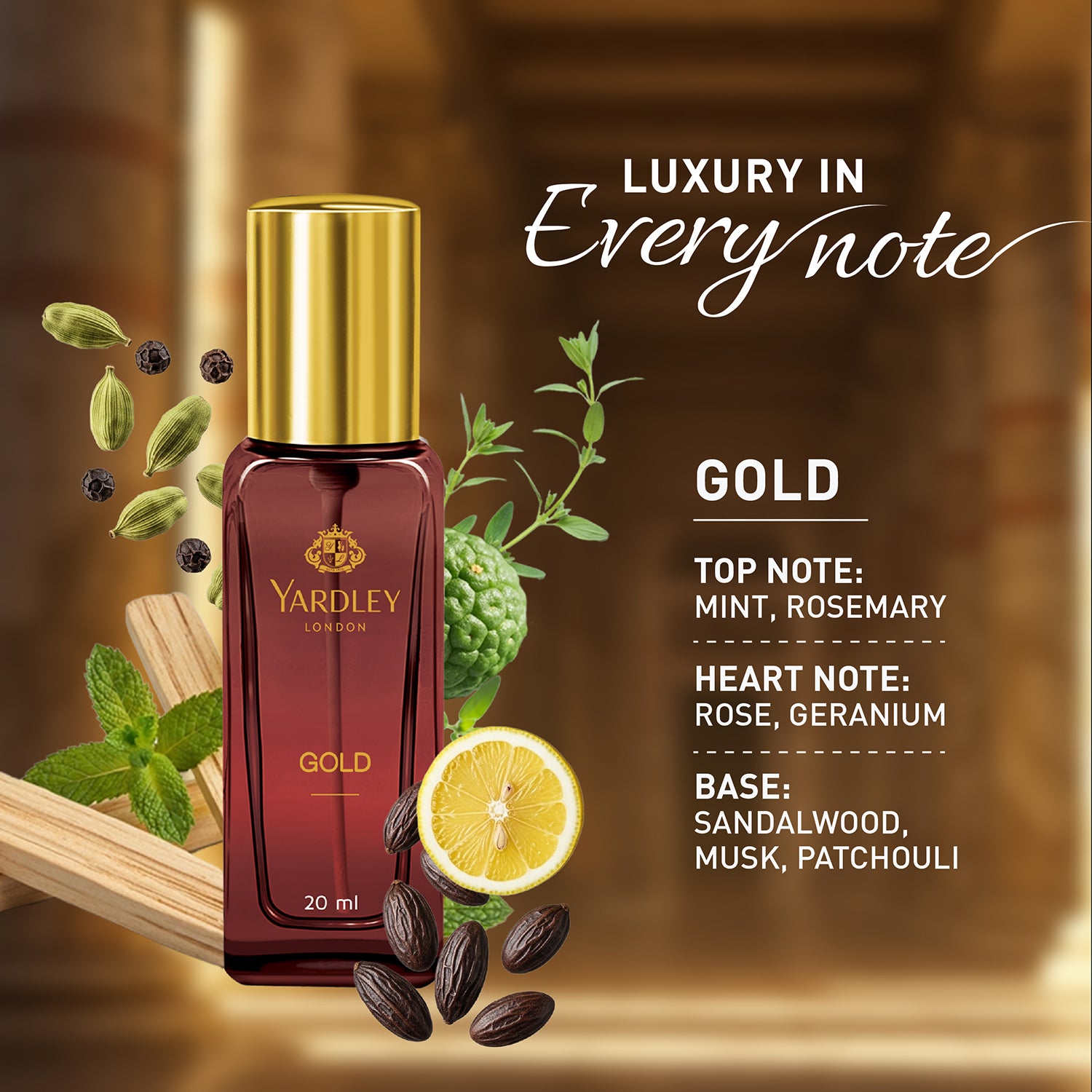 Gold Luxury Grooming Kit
